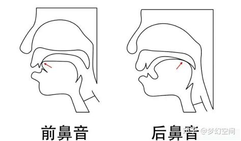 鼻要 意思